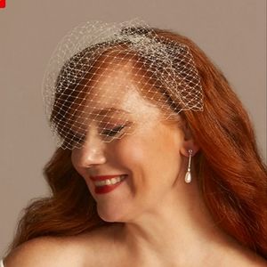 NWT David's Bridal Short Ivory Russian Blusher/Veil